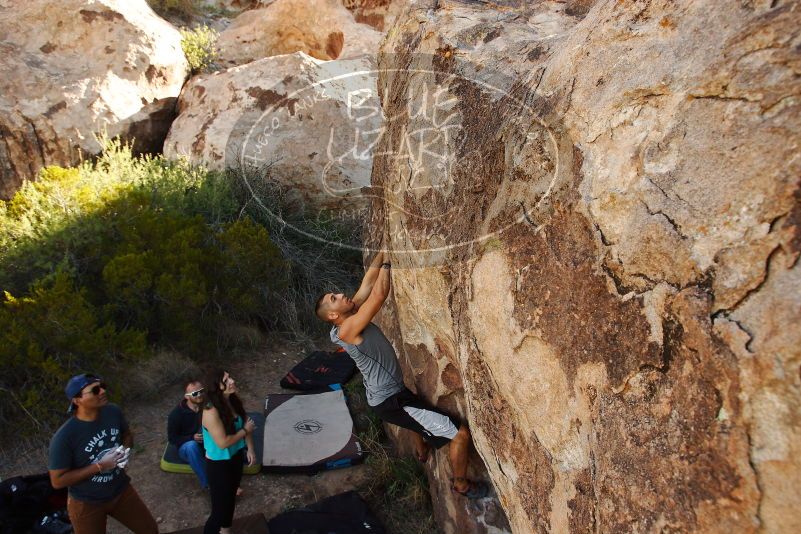 Bouldering in Hueco Tanks on 11/04/2018 with Blue Lizard Climbing and Yoga

Filename: SRM_20181104_1041510.jpg
Aperture: f/5.6
Shutter Speed: 1/400
Body: Canon EOS-1D Mark II
Lens: Canon EF 16-35mm f/2.8 L
