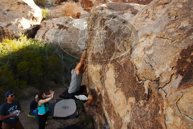 Bouldering in Hueco Tanks on 11/04/2018 with Blue Lizard Climbing and Yoga

Filename: SRM_20181104_1041530.jpg
Aperture: f/5.6
Shutter Speed: 1/400
Body: Canon EOS-1D Mark II
Lens: Canon EF 16-35mm f/2.8 L