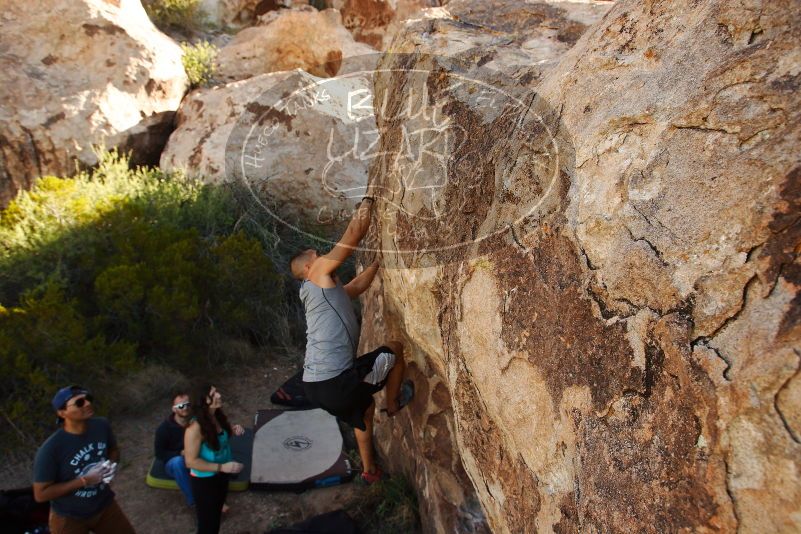 Bouldering in Hueco Tanks on 11/04/2018 with Blue Lizard Climbing and Yoga

Filename: SRM_20181104_1041541.jpg
Aperture: f/5.6
Shutter Speed: 1/400
Body: Canon EOS-1D Mark II
Lens: Canon EF 16-35mm f/2.8 L