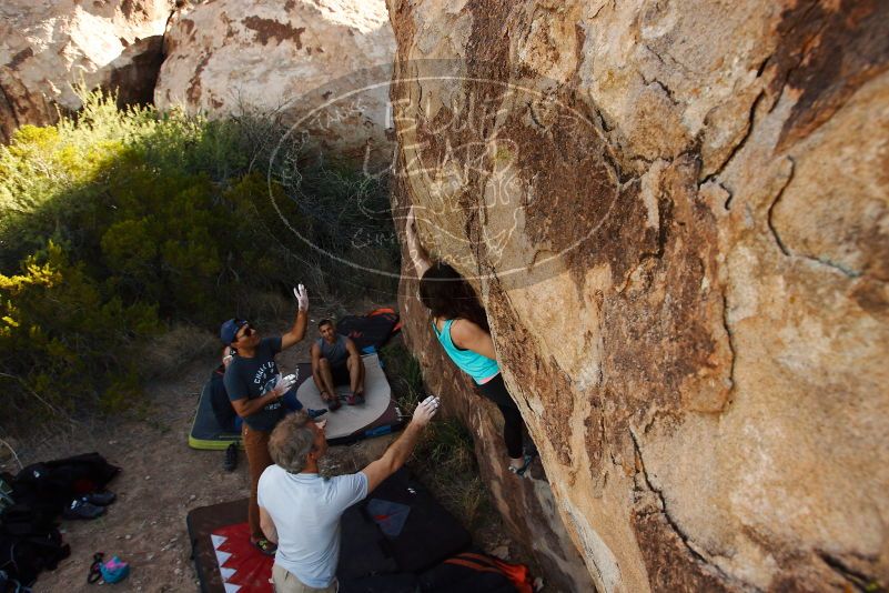 Bouldering in Hueco Tanks on 11/04/2018 with Blue Lizard Climbing and Yoga

Filename: SRM_20181104_1043330.jpg
Aperture: f/5.6
Shutter Speed: 1/400
Body: Canon EOS-1D Mark II
Lens: Canon EF 16-35mm f/2.8 L