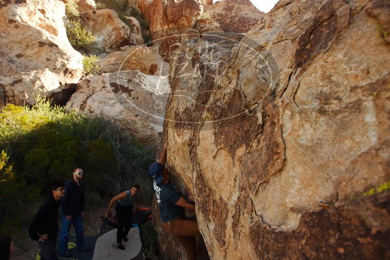 Bouldering in Hueco Tanks on 11/04/2018 with Blue Lizard Climbing and Yoga

Filename: SRM_20181104_1045141.jpg
Aperture: f/5.6
Shutter Speed: 1/500
Body: Canon EOS-1D Mark II
Lens: Canon EF 16-35mm f/2.8 L