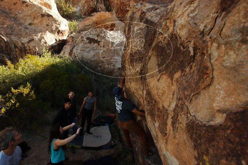 Bouldering in Hueco Tanks on 11/04/2018 with Blue Lizard Climbing and Yoga

Filename: SRM_20181104_1045340.jpg
Aperture: f/5.6
Shutter Speed: 1/800
Body: Canon EOS-1D Mark II
Lens: Canon EF 16-35mm f/2.8 L