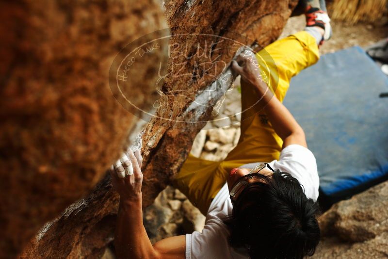 Bouldering in Hueco Tanks on 11/10/2018 with Blue Lizard Climbing and Yoga

Filename: SRM_20181110_1213190.jpg
Aperture: f/3.2
Shutter Speed: 1/400
Body: Canon EOS-1D Mark II
Lens: Canon EF 50mm f/1.8 II