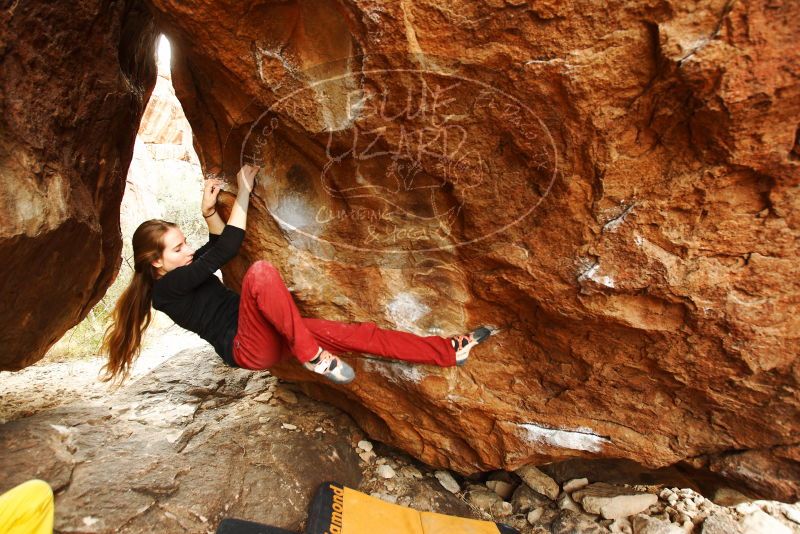 Bouldering in Hueco Tanks on 11/10/2018 with Blue Lizard Climbing and Yoga

Filename: SRM_20181110_1220460.jpg
Aperture: f/4.0
Shutter Speed: 1/250
Body: Canon EOS-1D Mark II
Lens: Canon EF 16-35mm f/2.8 L