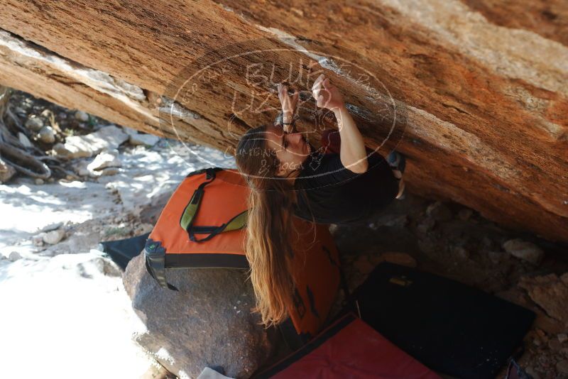 Bouldering in Hueco Tanks on 11/10/2018 with Blue Lizard Climbing and Yoga

Filename: SRM_20181110_1418300.jpg
Aperture: f/4.0
Shutter Speed: 1/250
Body: Canon EOS-1D Mark II
Lens: Canon EF 50mm f/1.8 II