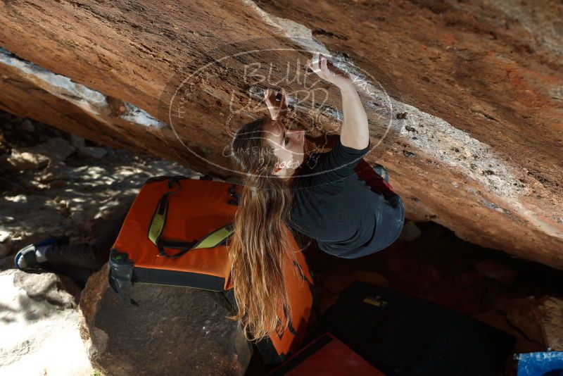 Bouldering in Hueco Tanks on 11/10/2018 with Blue Lizard Climbing and Yoga

Filename: SRM_20181110_1429100.jpg
Aperture: f/5.0
Shutter Speed: 1/200
Body: Canon EOS-1D Mark II
Lens: Canon EF 50mm f/1.8 II