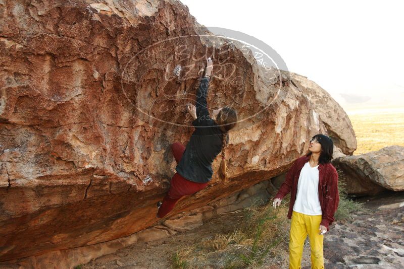 Bouldering in Hueco Tanks on 11/10/2018 with Blue Lizard Climbing and Yoga

Filename: SRM_20181110_1733530.jpg
Aperture: f/4.5
Shutter Speed: 1/320
Body: Canon EOS-1D Mark II
Lens: Canon EF 16-35mm f/2.8 L