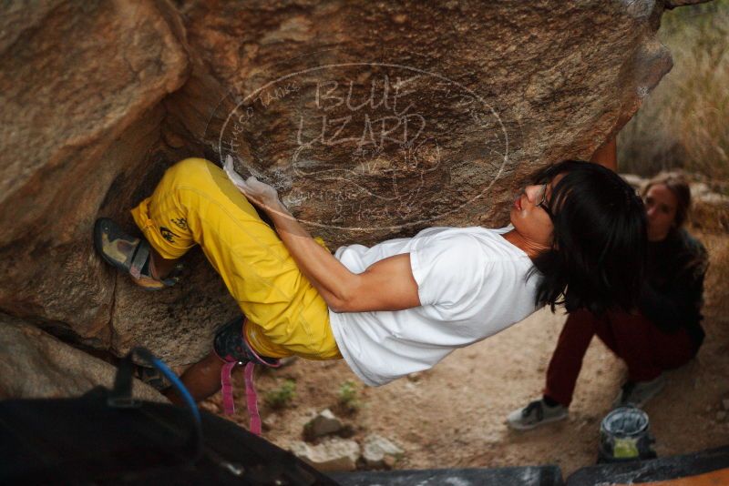 Bouldering in Hueco Tanks on 11/10/2018 with Blue Lizard Climbing and Yoga

Filename: SRM_20181110_1813410.jpg
Aperture: f/1.8
Shutter Speed: 1/200
Body: Canon EOS-1D Mark II
Lens: Canon EF 50mm f/1.8 II