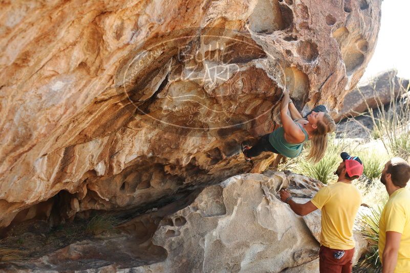 Bouldering in Hueco Tanks on 11/11/2018 with Blue Lizard Climbing and Yoga

Filename: SRM_20181111_1151420.jpg
Aperture: f/4.0
Shutter Speed: 1/320
Body: Canon EOS-1D Mark II
Lens: Canon EF 50mm f/1.8 II