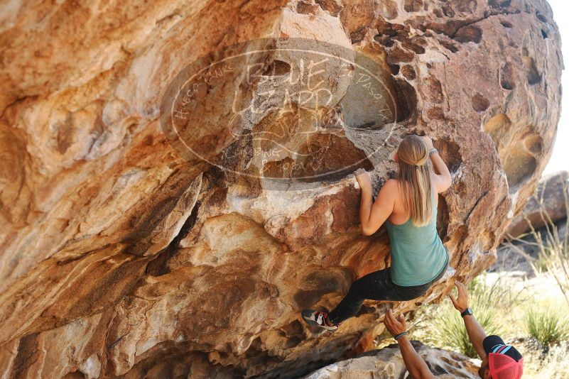 Bouldering in Hueco Tanks on 11/11/2018 with Blue Lizard Climbing and Yoga

Filename: SRM_20181111_1151500.jpg
Aperture: f/4.0
Shutter Speed: 1/400
Body: Canon EOS-1D Mark II
Lens: Canon EF 50mm f/1.8 II