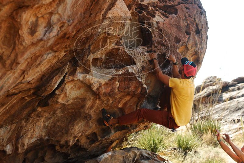 Bouldering in Hueco Tanks on 11/11/2018 with Blue Lizard Climbing and Yoga

Filename: SRM_20181111_1154350.jpg
Aperture: f/4.0
Shutter Speed: 1/640
Body: Canon EOS-1D Mark II
Lens: Canon EF 50mm f/1.8 II