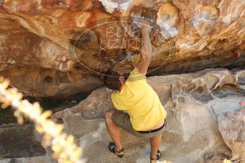 Bouldering in Hueco Tanks on 11/11/2018 with Blue Lizard Climbing and Yoga

Filename: SRM_20181111_1155190.jpg
Aperture: f/4.0
Shutter Speed: 1/320
Body: Canon EOS-1D Mark II
Lens: Canon EF 50mm f/1.8 II