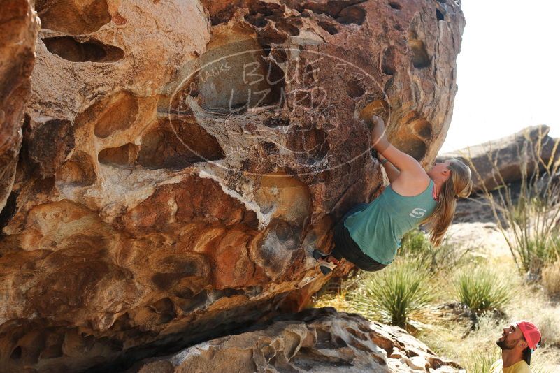 Bouldering in Hueco Tanks on 11/11/2018 with Blue Lizard Climbing and Yoga

Filename: SRM_20181111_1157470.jpg
Aperture: f/4.0
Shutter Speed: 1/640
Body: Canon EOS-1D Mark II
Lens: Canon EF 50mm f/1.8 II
