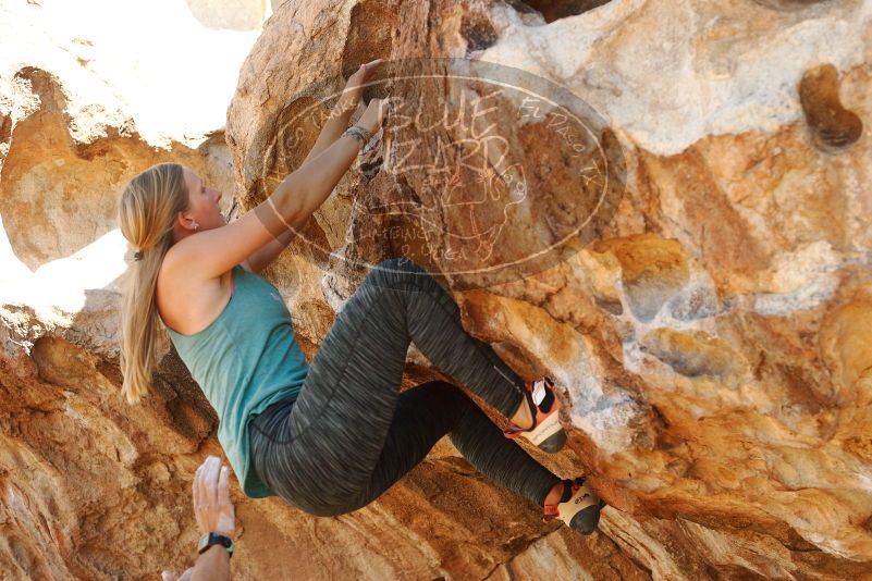 Bouldering in Hueco Tanks on 11/11/2018 with Blue Lizard Climbing and Yoga

Filename: SRM_20181111_1202210.jpg
Aperture: f/4.0
Shutter Speed: 1/400
Body: Canon EOS-1D Mark II
Lens: Canon EF 50mm f/1.8 II