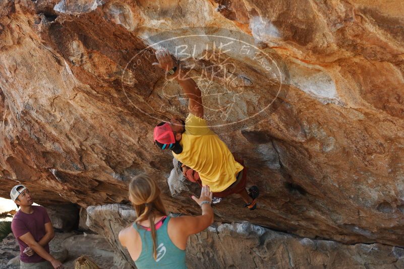 Bouldering in Hueco Tanks on 11/11/2018 with Blue Lizard Climbing and Yoga

Filename: SRM_20181111_1210070.jpg
Aperture: f/4.0
Shutter Speed: 1/500
Body: Canon EOS-1D Mark II
Lens: Canon EF 50mm f/1.8 II