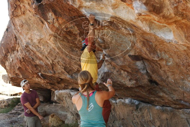 Bouldering in Hueco Tanks on 11/11/2018 with Blue Lizard Climbing and Yoga

Filename: SRM_20181111_1210080.jpg
Aperture: f/4.0
Shutter Speed: 1/500
Body: Canon EOS-1D Mark II
Lens: Canon EF 50mm f/1.8 II