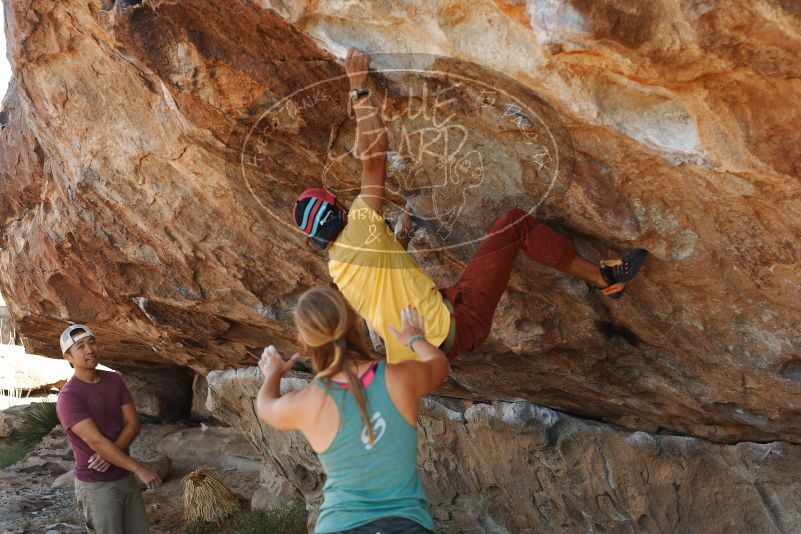 Bouldering in Hueco Tanks on 11/11/2018 with Blue Lizard Climbing and Yoga

Filename: SRM_20181111_1210090.jpg
Aperture: f/4.0
Shutter Speed: 1/500
Body: Canon EOS-1D Mark II
Lens: Canon EF 50mm f/1.8 II