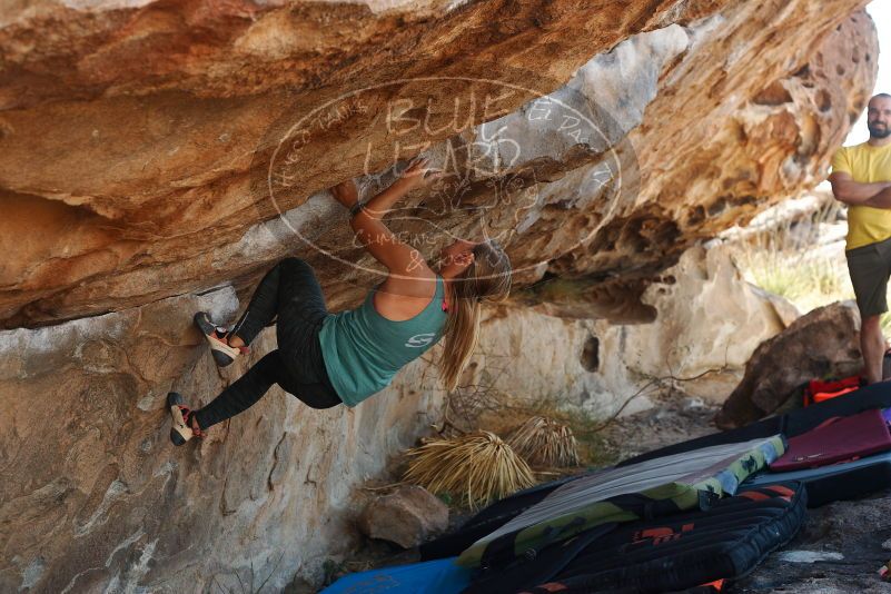 Bouldering in Hueco Tanks on 11/11/2018 with Blue Lizard Climbing and Yoga

Filename: SRM_20181111_1213340.jpg
Aperture: f/4.0
Shutter Speed: 1/320
Body: Canon EOS-1D Mark II
Lens: Canon EF 50mm f/1.8 II