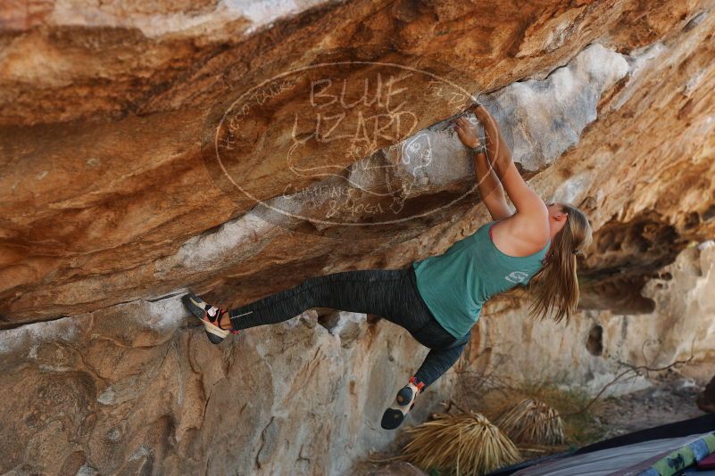 Bouldering in Hueco Tanks on 11/11/2018 with Blue Lizard Climbing and Yoga

Filename: SRM_20181111_1213400.jpg
Aperture: f/4.0
Shutter Speed: 1/400
Body: Canon EOS-1D Mark II
Lens: Canon EF 50mm f/1.8 II