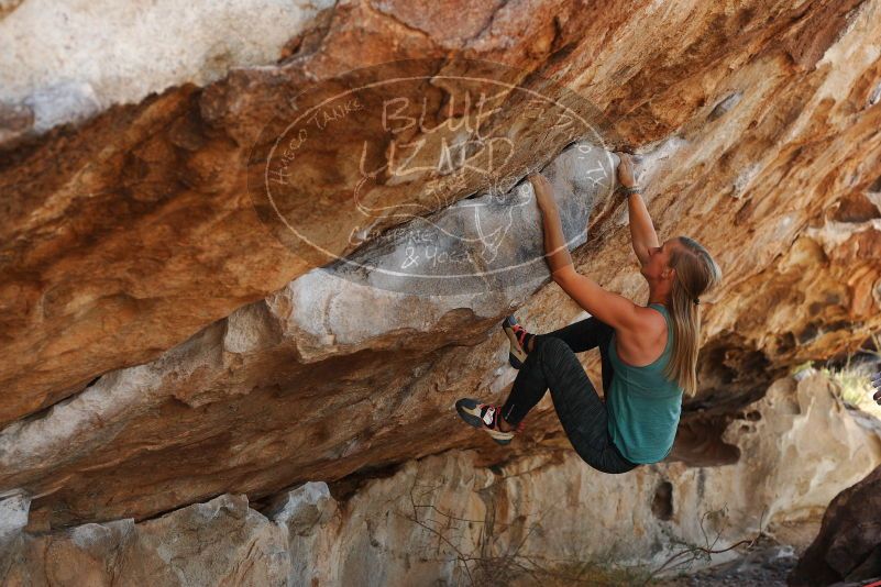 Bouldering in Hueco Tanks on 11/11/2018 with Blue Lizard Climbing and Yoga

Filename: SRM_20181111_1214120.jpg
Aperture: f/4.0
Shutter Speed: 1/400
Body: Canon EOS-1D Mark II
Lens: Canon EF 50mm f/1.8 II