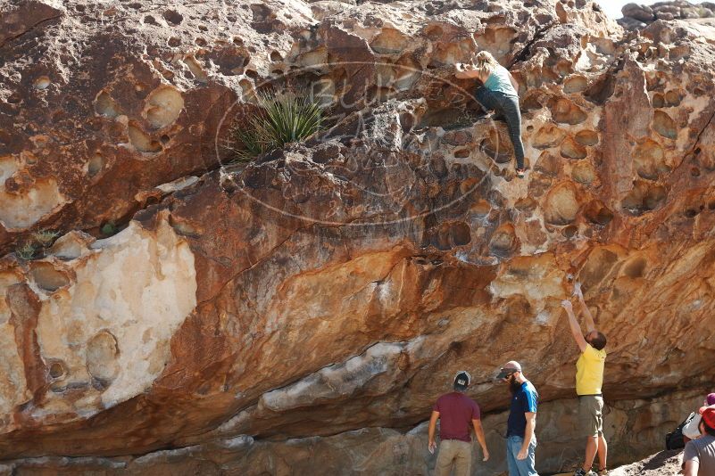 Bouldering in Hueco Tanks on 11/11/2018 with Blue Lizard Climbing and Yoga

Filename: SRM_20181111_1215370.jpg
Aperture: f/4.0
Shutter Speed: 1/800
Body: Canon EOS-1D Mark II
Lens: Canon EF 50mm f/1.8 II