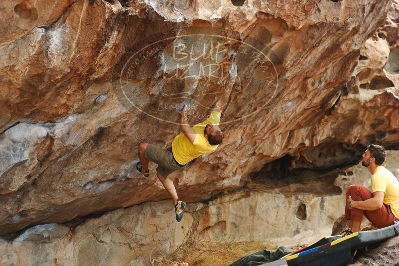 Bouldering in Hueco Tanks on 11/11/2018 with Blue Lizard Climbing and Yoga

Filename: SRM_20181111_1255350.jpg
Aperture: f/4.0
Shutter Speed: 1/500
Body: Canon EOS-1D Mark II
Lens: Canon EF 50mm f/1.8 II