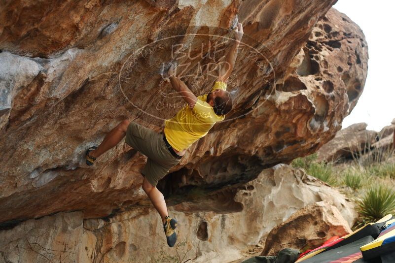Bouldering in Hueco Tanks on 11/11/2018 with Blue Lizard Climbing and Yoga

Filename: SRM_20181111_1256540.jpg
Aperture: f/4.0
Shutter Speed: 1/640
Body: Canon EOS-1D Mark II
Lens: Canon EF 50mm f/1.8 II