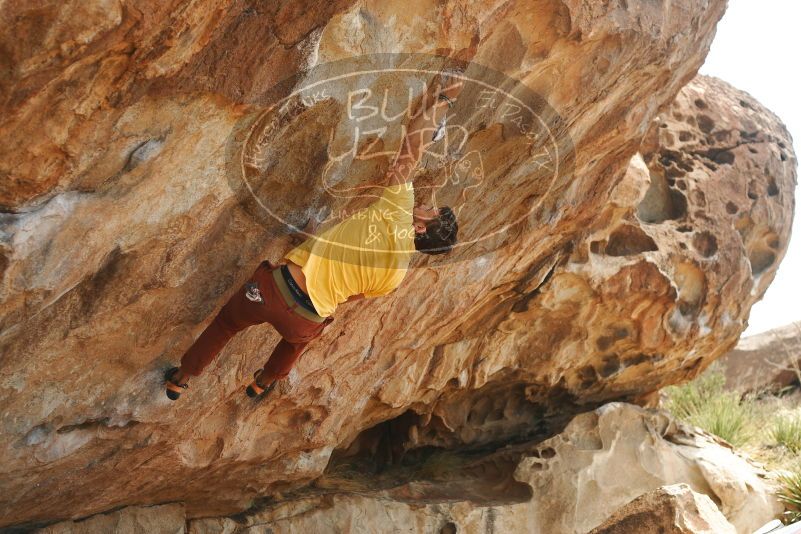 Bouldering in Hueco Tanks on 11/11/2018 with Blue Lizard Climbing and Yoga

Filename: SRM_20181111_1258290.jpg
Aperture: f/4.0
Shutter Speed: 1/640
Body: Canon EOS-1D Mark II
Lens: Canon EF 50mm f/1.8 II