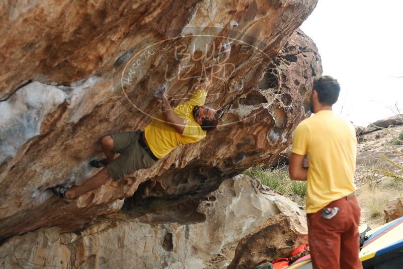 Bouldering in Hueco Tanks on 11/11/2018 with Blue Lizard Climbing and Yoga

Filename: SRM_20181111_1259280.jpg
Aperture: f/4.0
Shutter Speed: 1/500
Body: Canon EOS-1D Mark II
Lens: Canon EF 50mm f/1.8 II