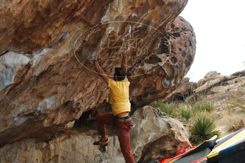 Bouldering in Hueco Tanks on 11/11/2018 with Blue Lizard Climbing and Yoga

Filename: SRM_20181111_1300140.jpg
Aperture: f/4.0
Shutter Speed: 1/800
Body: Canon EOS-1D Mark II
Lens: Canon EF 50mm f/1.8 II