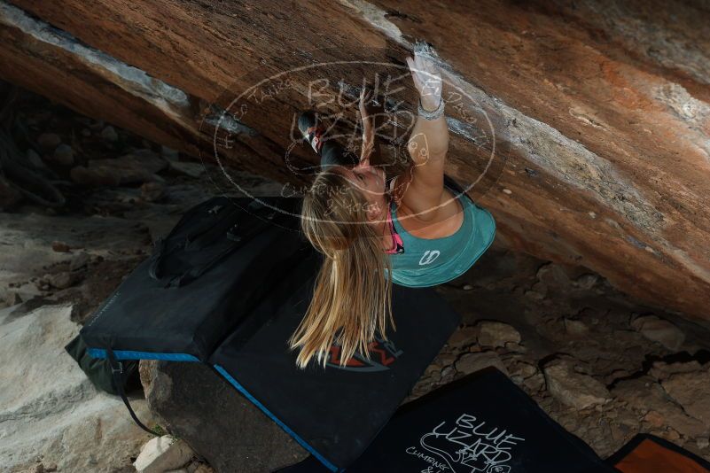 Bouldering in Hueco Tanks on 11/11/2018 with Blue Lizard Climbing and Yoga

Filename: SRM_20181111_1406300.jpg
Aperture: f/5.6
Shutter Speed: 1/250
Body: Canon EOS-1D Mark II
Lens: Canon EF 50mm f/1.8 II
