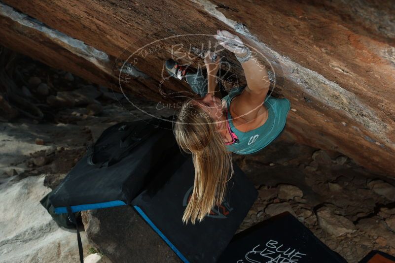 Bouldering in Hueco Tanks on 11/11/2018 with Blue Lizard Climbing and Yoga

Filename: SRM_20181111_1418120.jpg
Aperture: f/5.6
Shutter Speed: 1/250
Body: Canon EOS-1D Mark II
Lens: Canon EF 50mm f/1.8 II