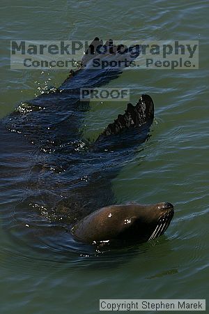 

Filename: img_0172_std.jpg
Aperture: f/8.0
Shutter Speed: 1/320
Body: Canon EOS DIGITAL REBEL
Lens: Canon EF 80-200mm f/2.8 L