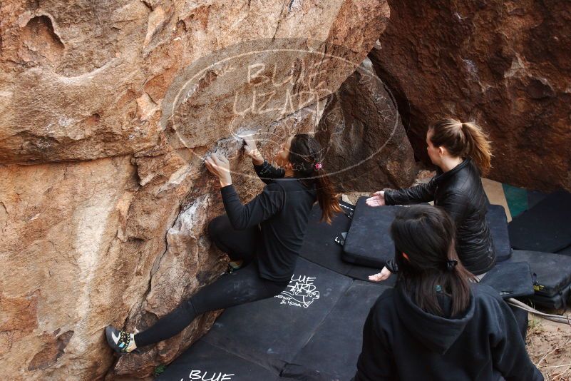 Bouldering in Hueco Tanks on 11/24/2018 with Blue Lizard Climbing and Yoga

Filename: SRM_20181124_1101490.jpg
Aperture: f/5.0
Shutter Speed: 1/200
Body: Canon EOS-1D Mark II
Lens: Canon EF 16-35mm f/2.8 L