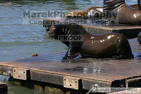 

Filename: img_0164_std.jpg
Aperture: f/5.6
Shutter Speed: 1/320
Body: Canon EOS DIGITAL REBEL
Lens: Canon EF 80-200mm f/2.8 L