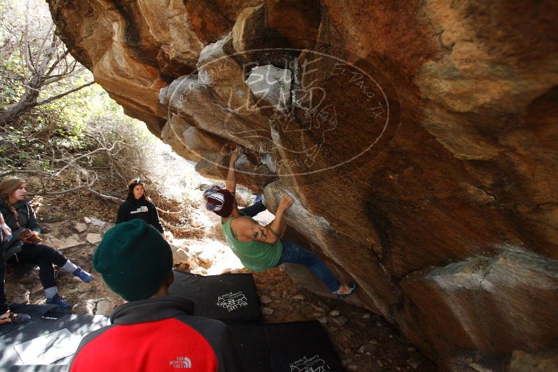 Bouldering in Hueco Tanks on 11/24/2018 with Blue Lizard Climbing and Yoga

Filename: SRM_20181124_1152210.jpg
Aperture: f/4.0
Shutter Speed: 1/320
Body: Canon EOS-1D Mark II
Lens: Canon EF 16-35mm f/2.8 L