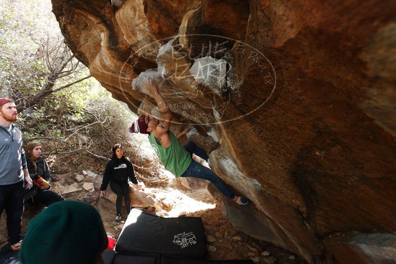 Bouldering in Hueco Tanks on 11/24/2018 with Blue Lizard Climbing and Yoga

Filename: SRM_20181124_1152300.jpg
Aperture: f/4.0
Shutter Speed: 1/400
Body: Canon EOS-1D Mark II
Lens: Canon EF 16-35mm f/2.8 L