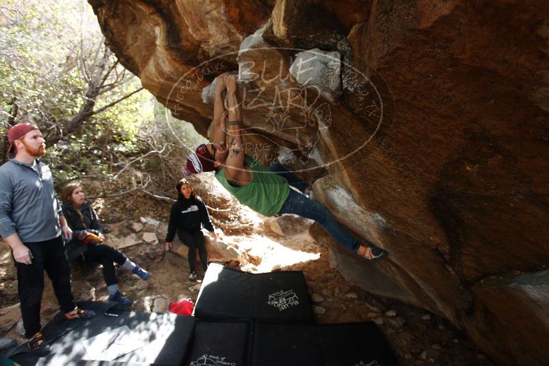 Bouldering in Hueco Tanks on 11/24/2018 with Blue Lizard Climbing and Yoga

Filename: SRM_20181124_1152340.jpg
Aperture: f/4.0
Shutter Speed: 1/400
Body: Canon EOS-1D Mark II
Lens: Canon EF 16-35mm f/2.8 L