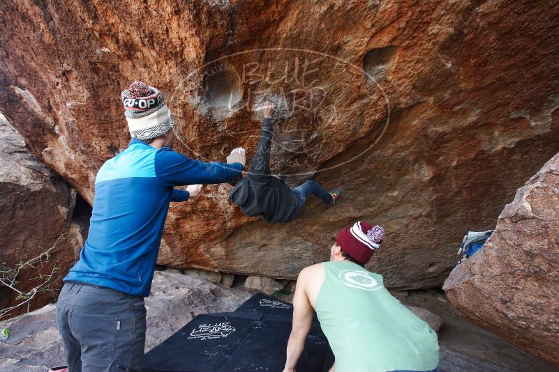 Bouldering in Hueco Tanks on 11/24/2018 with Blue Lizard Climbing and Yoga

Filename: SRM_20181124_1219290.jpg
Aperture: f/5.6
Shutter Speed: 1/320
Body: Canon EOS-1D Mark II
Lens: Canon EF 16-35mm f/2.8 L