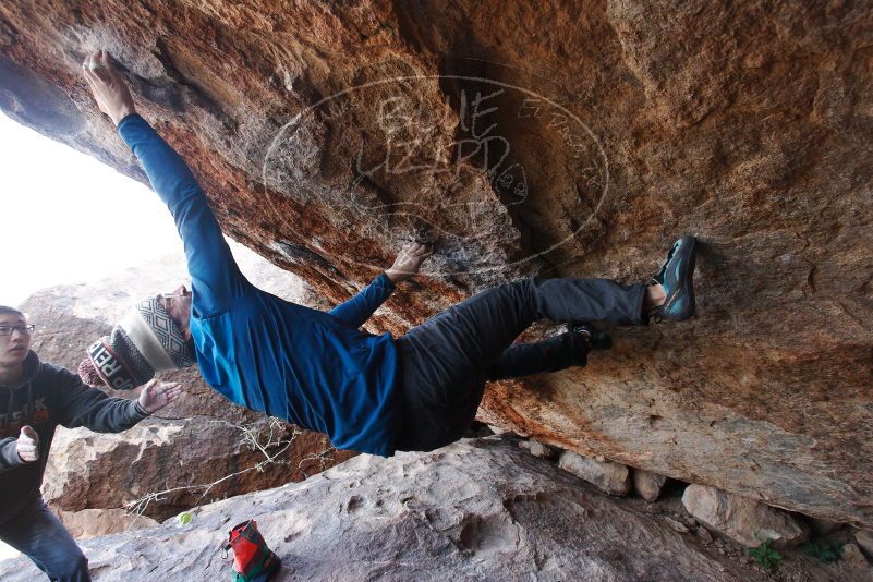 Bouldering in Hueco Tanks on 11/24/2018 with Blue Lizard Climbing and Yoga

Filename: SRM_20181124_1223270.jpg
Aperture: f/5.0
Shutter Speed: 1/250
Body: Canon EOS-1D Mark II
Lens: Canon EF 16-35mm f/2.8 L