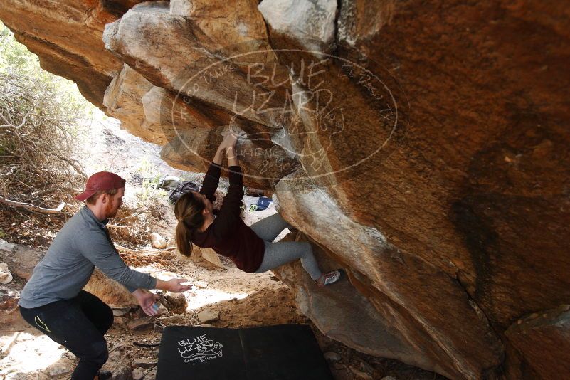 Bouldering in Hueco Tanks on 11/24/2018 with Blue Lizard Climbing and Yoga

Filename: SRM_20181124_1226010.jpg
Aperture: f/4.5
Shutter Speed: 1/250
Body: Canon EOS-1D Mark II
Lens: Canon EF 16-35mm f/2.8 L