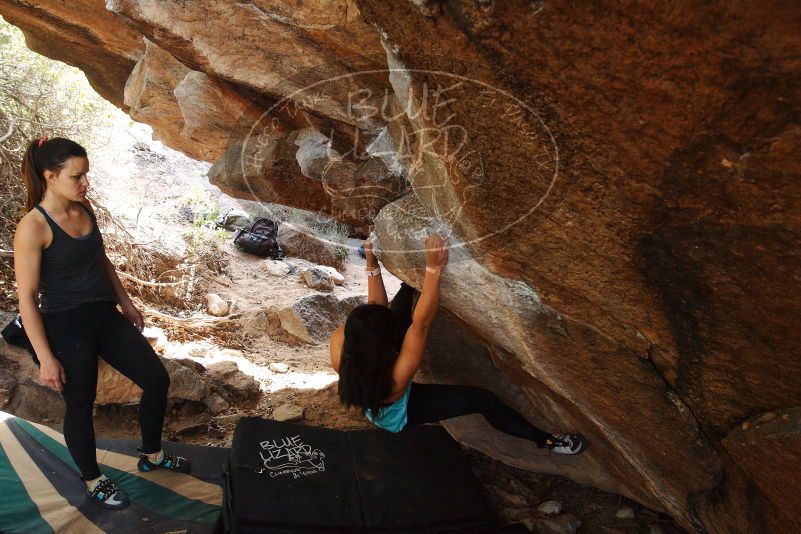 Bouldering in Hueco Tanks on 11/24/2018 with Blue Lizard Climbing and Yoga

Filename: SRM_20181124_1239370.jpg
Aperture: f/6.3
Shutter Speed: 1/200
Body: Canon EOS-1D Mark II
Lens: Canon EF 16-35mm f/2.8 L