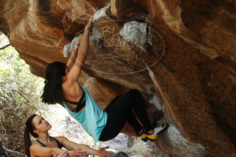 Bouldering in Hueco Tanks on 11/24/2018 with Blue Lizard Climbing and Yoga

Filename: SRM_20181124_1243250.jpg
Aperture: f/4.5
Shutter Speed: 1/320
Body: Canon EOS-1D Mark II
Lens: Canon EF 50mm f/1.8 II