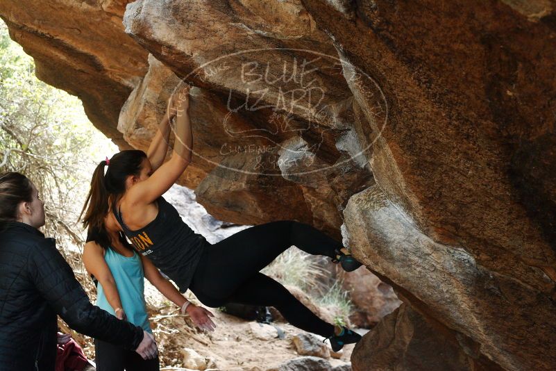 Bouldering in Hueco Tanks on 11/24/2018 with Blue Lizard Climbing and Yoga

Filename: SRM_20181124_1247290.jpg
Aperture: f/4.5
Shutter Speed: 1/250
Body: Canon EOS-1D Mark II
Lens: Canon EF 50mm f/1.8 II