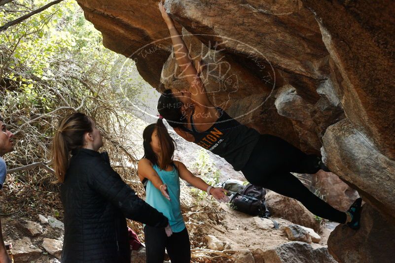 Bouldering in Hueco Tanks on 11/24/2018 with Blue Lizard Climbing and Yoga

Filename: SRM_20181124_1247360.jpg
Aperture: f/5.6
Shutter Speed: 1/250
Body: Canon EOS-1D Mark II
Lens: Canon EF 50mm f/1.8 II