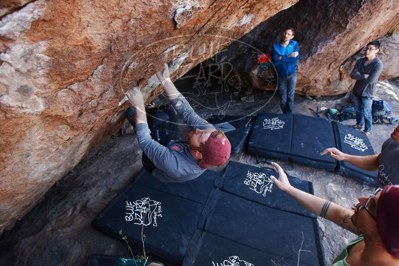 Bouldering in Hueco Tanks on 11/24/2018 with Blue Lizard Climbing and Yoga

Filename: SRM_20181124_1306480.jpg
Aperture: f/4.5
Shutter Speed: 1/250
Body: Canon EOS-1D Mark II
Lens: Canon EF 16-35mm f/2.8 L