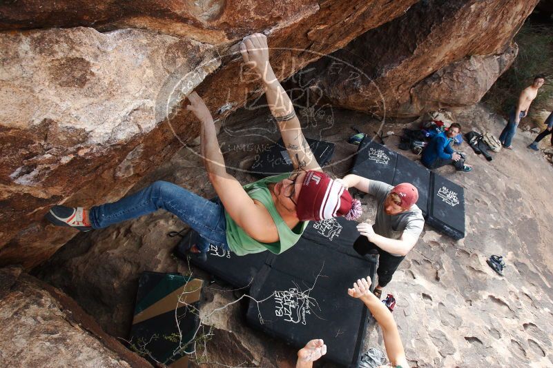 Bouldering in Hueco Tanks on 11/24/2018 with Blue Lizard Climbing and Yoga

Filename: SRM_20181124_1333470.jpg
Aperture: f/8.0
Shutter Speed: 1/250
Body: Canon EOS-1D Mark II
Lens: Canon EF 16-35mm f/2.8 L