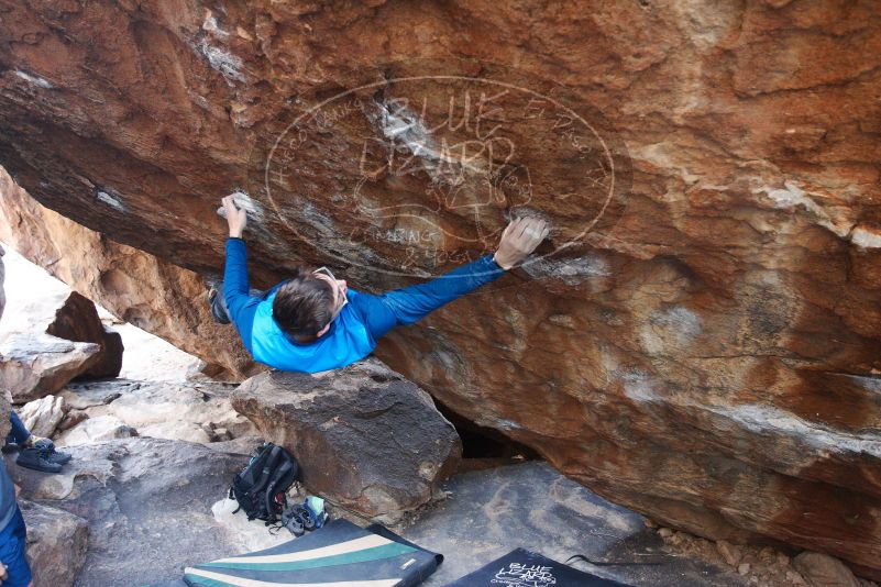 Bouldering in Hueco Tanks on 11/24/2018 with Blue Lizard Climbing and Yoga

Filename: SRM_20181124_1632210.jpg
Aperture: f/3.5
Shutter Speed: 1/250
Body: Canon EOS-1D Mark II
Lens: Canon EF 16-35mm f/2.8 L