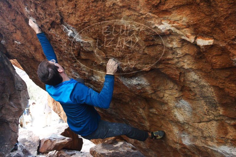 Bouldering in Hueco Tanks on 11/24/2018 with Blue Lizard Climbing and Yoga

Filename: SRM_20181124_1635330.jpg
Aperture: f/4.5
Shutter Speed: 1/250
Body: Canon EOS-1D Mark II
Lens: Canon EF 16-35mm f/2.8 L