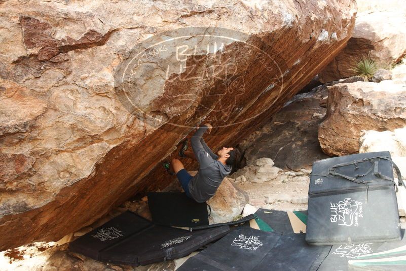 Bouldering in Hueco Tanks on 11/24/2018 with Blue Lizard Climbing and Yoga

Filename: SRM_20181124_1657170.jpg
Aperture: f/5.0
Shutter Speed: 1/250
Body: Canon EOS-1D Mark II
Lens: Canon EF 16-35mm f/2.8 L